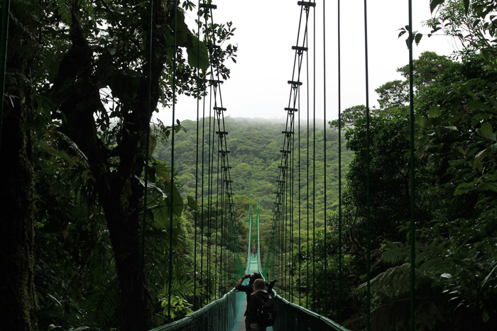 Puente Colgante selva Ecoturismo Yoguindia